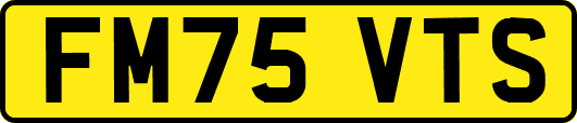 FM75VTS