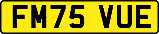 FM75VUE