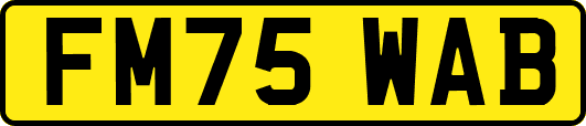FM75WAB