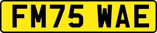 FM75WAE