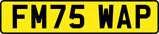 FM75WAP