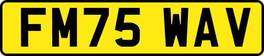 FM75WAV