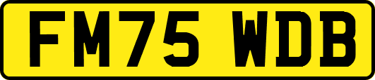 FM75WDB