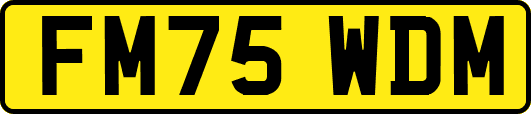 FM75WDM