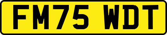 FM75WDT