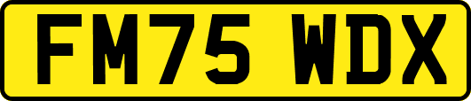 FM75WDX