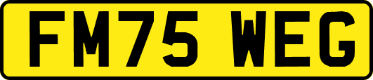 FM75WEG