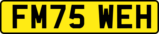 FM75WEH
