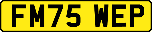 FM75WEP