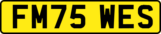 FM75WES