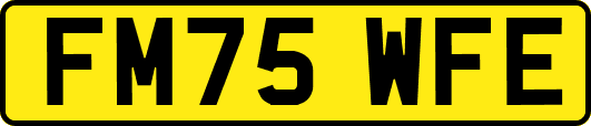 FM75WFE