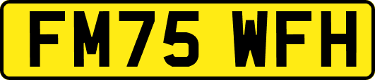 FM75WFH