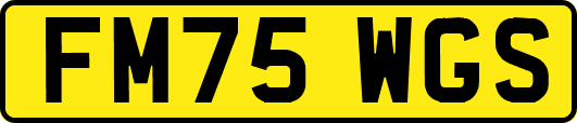FM75WGS