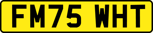 FM75WHT