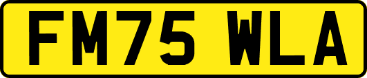 FM75WLA
