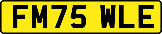 FM75WLE