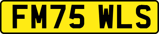 FM75WLS