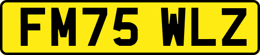 FM75WLZ