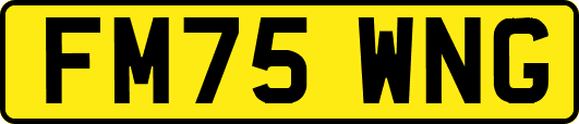 FM75WNG