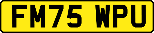 FM75WPU