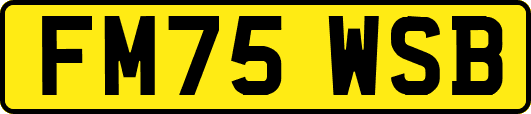 FM75WSB
