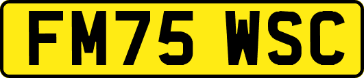 FM75WSC