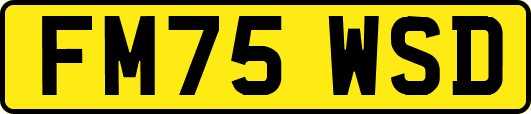 FM75WSD
