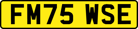 FM75WSE