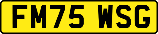 FM75WSG