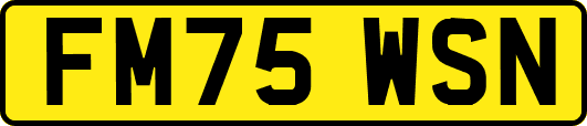 FM75WSN