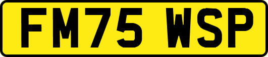 FM75WSP