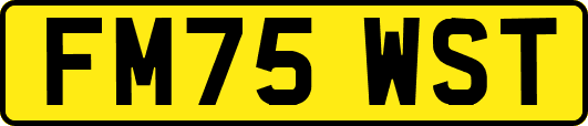 FM75WST
