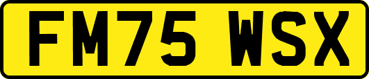 FM75WSX