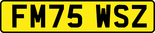 FM75WSZ