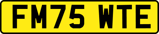 FM75WTE