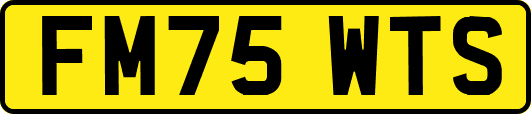 FM75WTS