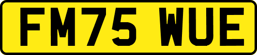 FM75WUE