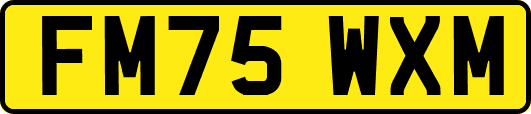 FM75WXM