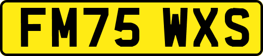 FM75WXS