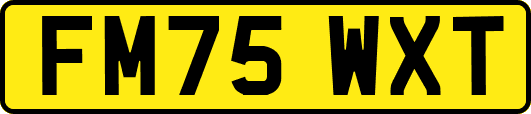 FM75WXT