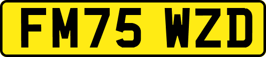 FM75WZD