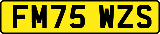 FM75WZS