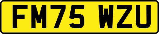 FM75WZU