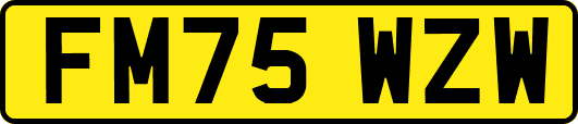 FM75WZW