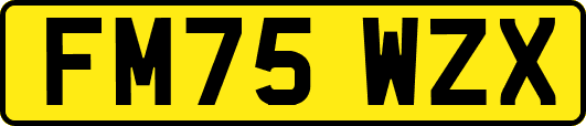FM75WZX