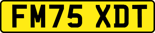 FM75XDT
