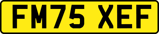 FM75XEF