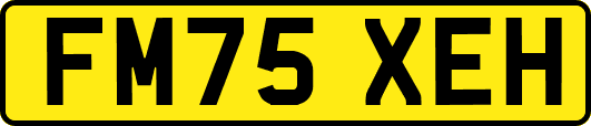 FM75XEH