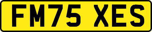 FM75XES