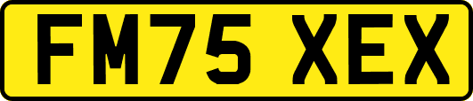 FM75XEX
